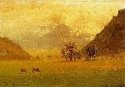 Albert Bierstadt Rhone Valley oil painting on canvas